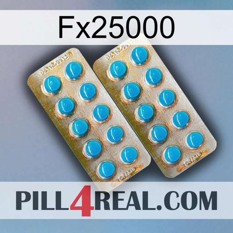 Fx25000 new08